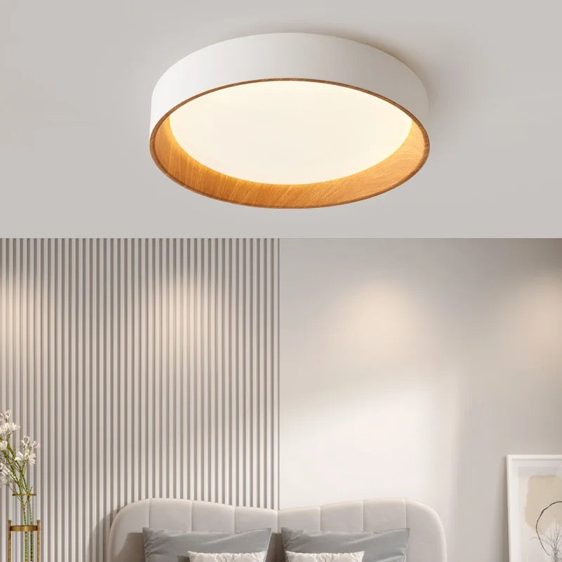 Ceiling Light